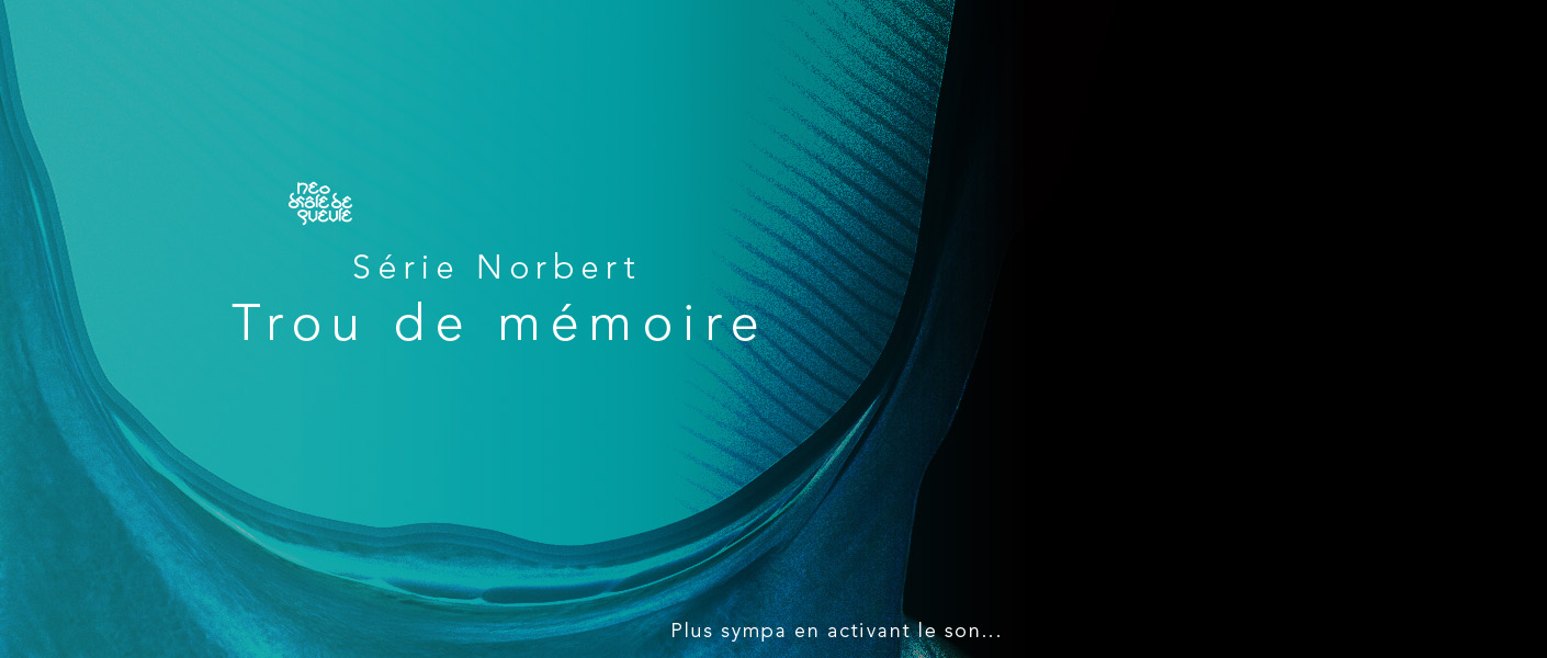 054_SB _ Norbert _ Trou de mémoire, la vidéo_4.jpg